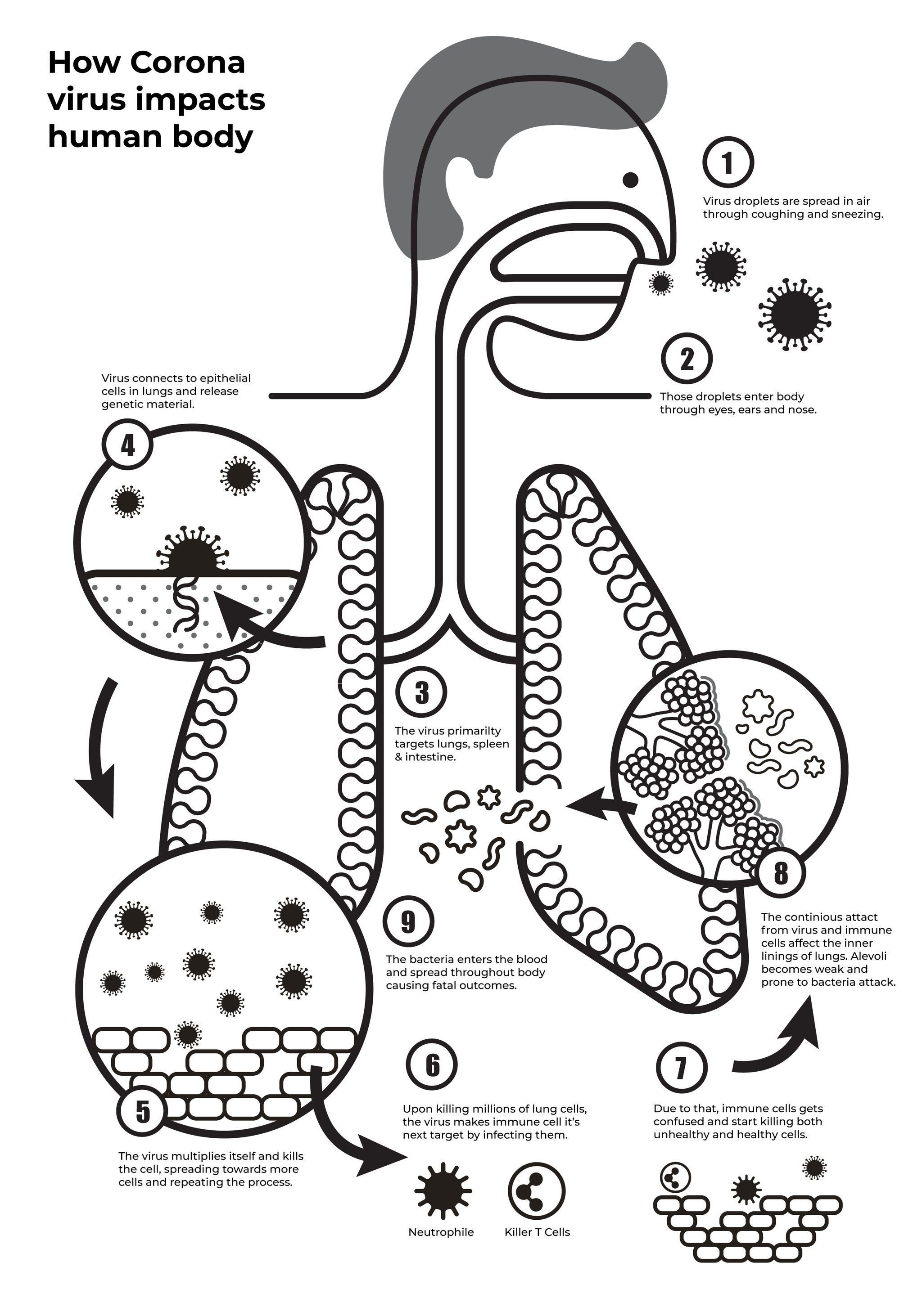 Black and white version of the infographic showing the virus's path through the respiratory system in numbered steps