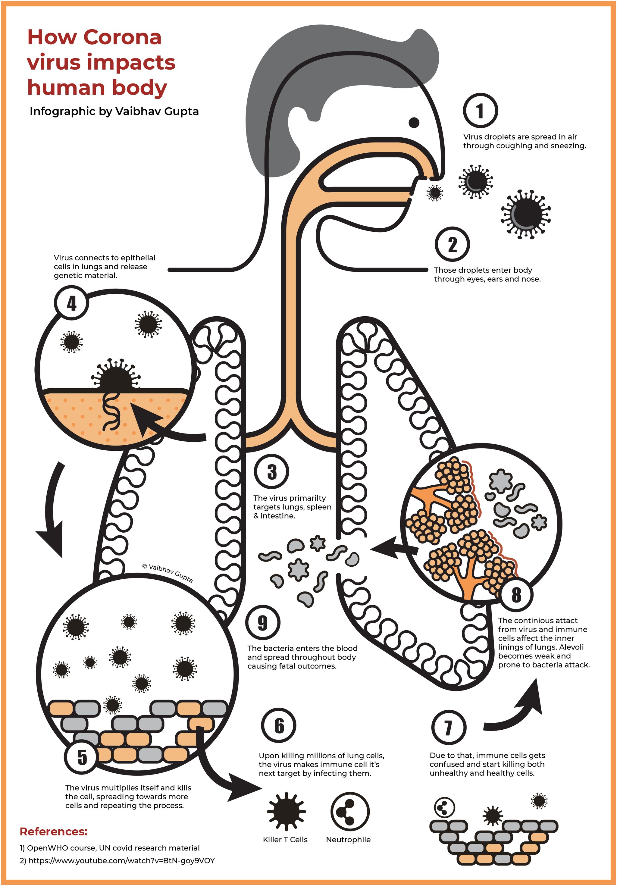 Final colour infographic, How Corona virus impacts human body, with numbered steps and references