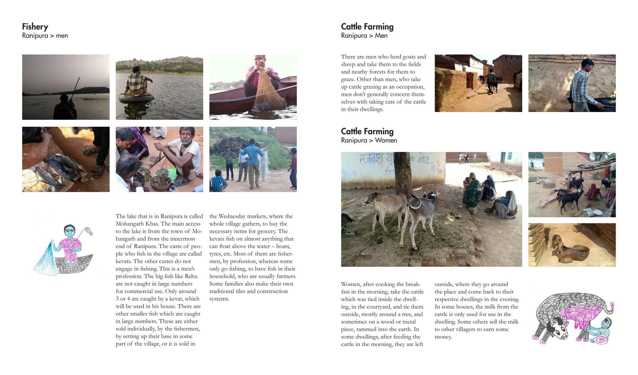 Fishery and cattle farming in Ranipura